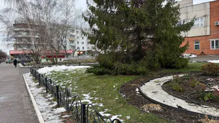 26 декабря в Рязанской области пойдет мокрый снег и потеплеет до +2