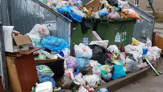 Лайфхак от рязанки - что нужно сделать, чтобы у вас вывезли мусор из двора