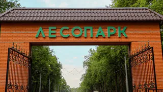 В Рязани с 23 мая начнётся второй этап благоустройства Лесопарка