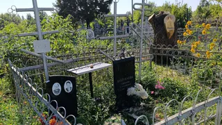 «Сломаем — построим»: жители Шацкого района три месяца жалуются на варварский спил деревьев на кладбище