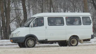 Зампред правительства Швакова заявила о «серых» схемах в транспортных компаниях Рязани