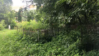 Лазаревское кладбище: жители просят провести территорию в порядок