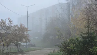 16 октября Рязанскую область накроет туман - в МЧС дали экстренное предупреждение