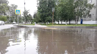 Паводки: в Рязани открыли горячую линию для подтопляемых районов