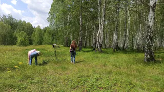 В рязанских борах нашли первые маслята