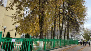 В рязанских школах открыли 110 классов для подготовки специалистов с малых лет