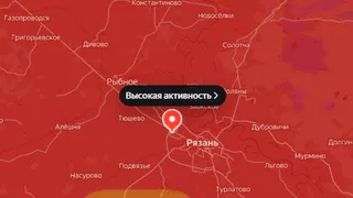 В Рязани резко вырос уровень пыльцы: аллергики жалуются на ухудшение самочувствия