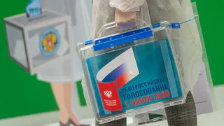 Голосование по поправкам в Конституцию: выезд на дом и градусники на участках
