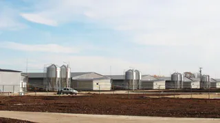 В Рязанской области появился свинокомплекс мощностью 9 тыс. тонн продукции