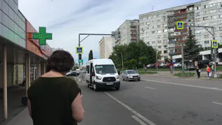 В салоне рязанской маршрутки выросли грибы