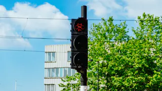 Из-за скрытых ветками светофоров рязанцы едут на запрещенный свет