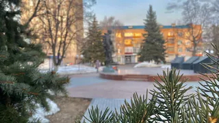 Фельдман прокомментировала свое назначение в Рязани и переезд из Вологды