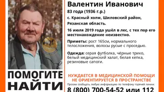 В Рязанской области ищут мужчину, который пропал в лесу