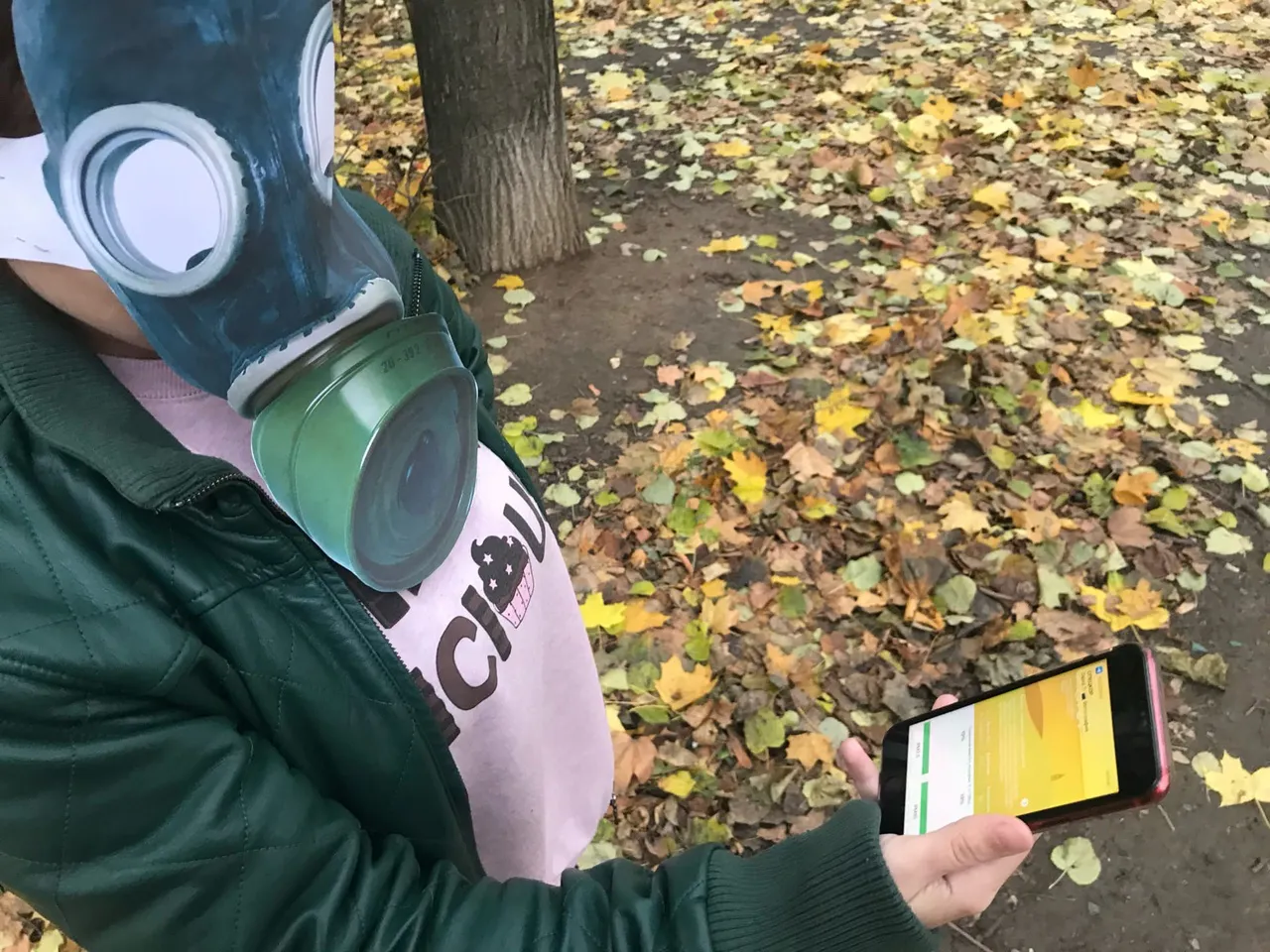 Мёртвые грачи и жёлтый дым: Рязань на четвёртом месте с конца экорейтинга