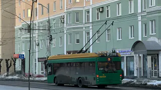 «Опять “нестабильная система”»: рязанцы не верят официальным объяснениям сбоев транспорта