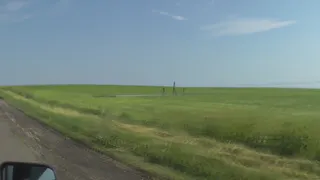 В Рязанской области сильный ветер снес столбы ЛЭП (видео)