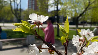 Майское тепло приходит в Рязанскую область