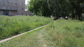 В Приокском обещают сделать "Добрый сквер". Что там будет