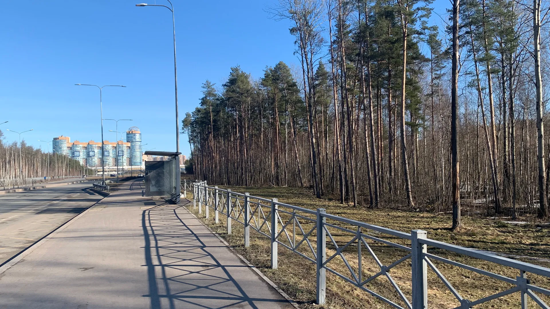 Разработкой проекта Южного обхода Рязани займется компания из Москвы
