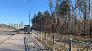 Кузьмин овраг в Рязани очистили от тонн мусора