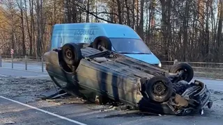 На выезде из Коломны на автомобиль рязанца упало дерево