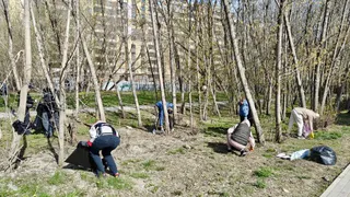 Жители Рязани привели в порядок скверы и дворы во время весенних субботников