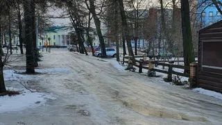 Из-за гололеда были сорваны экскурсии по Рязани для туристов