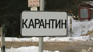В Рязанской области объявлены первые в 2016 году карантины по бешенству животных