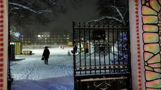 "Осторожнее под лавиной удачи!": Тамара Глоба назвали три знака с космическим везением 
