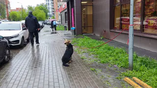 Похолодание 13 мая расскажет, каким будет предстоящее лето: народные приметы
