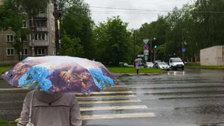 Синоптики предупреждают рязанцев о небольшом дожде 16 июля
