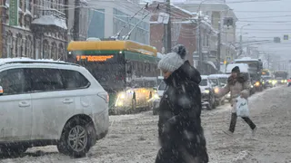 Рязанцам назвали самые опасные пешеходные переходы возле школ