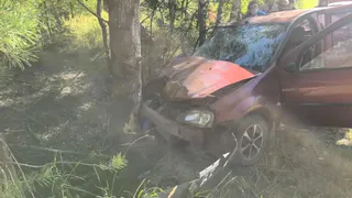 Под Рязанью "Логан" на полном ходу влетел в дерево: есть погибший