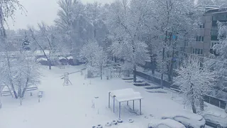26 февраля в Рязанской области ожидается туман и похолодание до -19