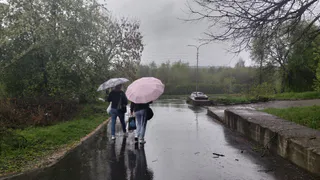 Рязанцев ждет теплая пятница с небольшими дождями