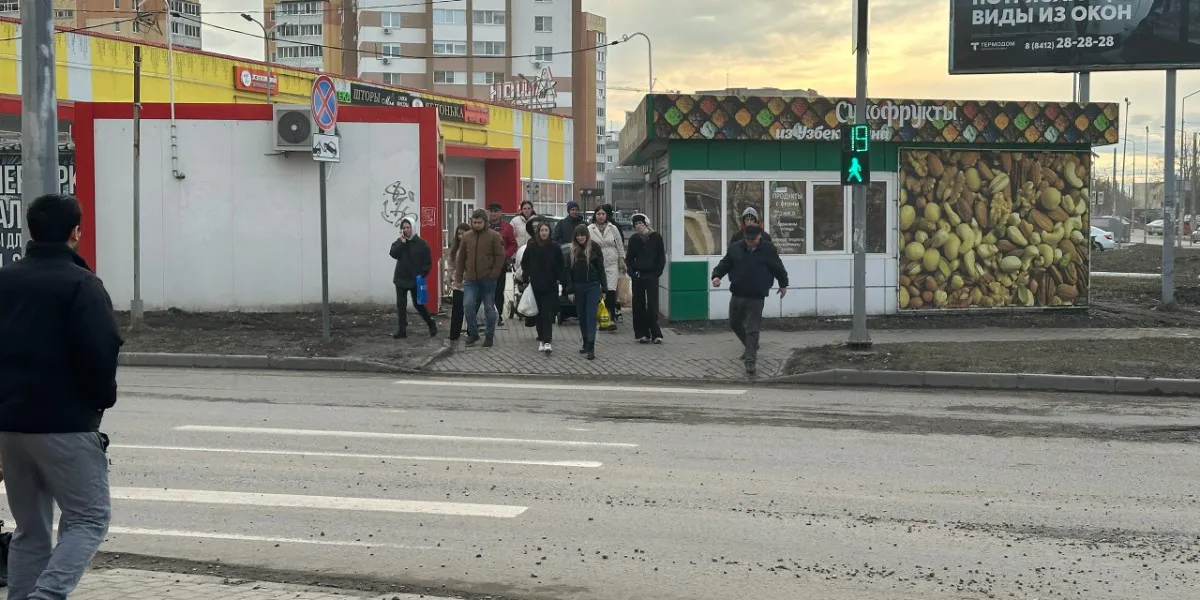 Рязанская Госавтоинспекция оштрафовала за нарушения ПДД более 10 пешеходов