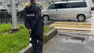 В выходные ГАИ Рязанской области проведёт массовые рейды для контроля проезда пешеходных переходов