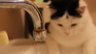 Список адресов: на двух улицах Рязани отключат холодную воду