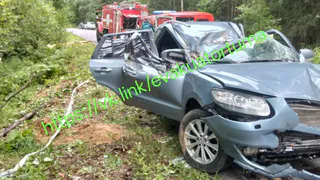 В Рязанской области дерево насмерть задавило пассажира иномарки 