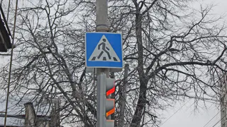 "Очевидцы, отзовитесь!" - в Рязани ищут свидетелей ДТП на Московском шоссе