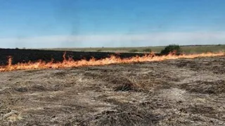5 сентября в Рязанской области ожидается чрезвычайная пожарная опасность и до +25