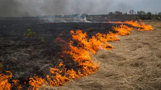 МЧС предупредило жителей Рязанской области о чрезвычайной пожарной опасности