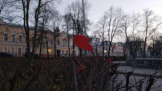 10 ноября в Рязанской области ожидается дождь и до +7