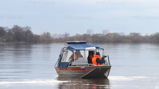 В Рязани за сутки уровень воды в Оке повысился на 41 сантиметр 