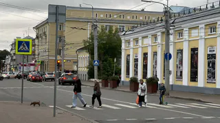 Тайный дождь и нежаркое солнце: какая погода будет в Рязани 3 октября