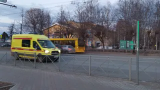 В Рязанской области найден труп с гнилостными изменениями