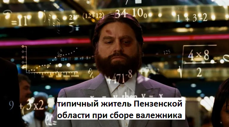 Валежник теперь можно собирать законно, но в некоторых регионах есть свои условия. А в Рязани?
