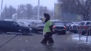 В Рязани заметили приунывшего мишку