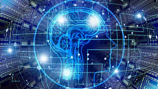 Пройди тест на эрудированность и узнай, какой у тебя IQ