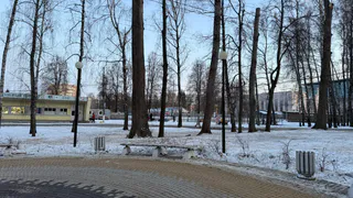 В Рязани стартует тендер на благоустройство Лесопарка